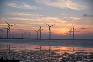 New Wind Farm Goes Online in the North Sea